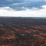 Polícia Militar Ambiental de Dourados autua usina sucroenergética de Rio Brilhante em R$ 163 mil por incêndio em palhada para colheita da cana-de-açúcar