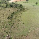 Polícia Militar Ambiental de Cassilândia autua dono de chácara em R$ 5 mil por desvio de córrego e por funcionar pocilga dentro de áreas de matas ciliares e de nascentes