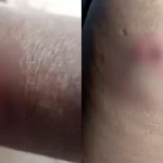 “Ele ia matar ela”, diz filha de mulher que foi esfaqueada por avôdrasto 