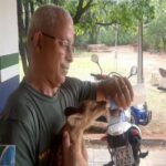 Polícia Militar Ambiental de Aquidauana recolhe e encaminha ao CRAS filhote de veado abandonado em fazenda no Distrito de Piraputanga