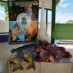 PMA prende e autua 11 pescadores, aplica R$ 20 mil em multas e apreende 47 kg de pescado no primeiro mês de piracema