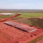 Sidrolândia: Cooperalfa investe mais de R$ 130 milhões em granja de matrizes