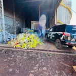 Maracaju: Polícia Civil realiza incineração de mais de 6 toneladas de drogas apreendidas
