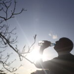 Após dias úmidos e abafados, clima fica quente e seco em MS