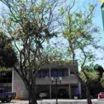 MS terá Conselho Penitenciário subordinado à Sejusp