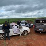 Dof realiza a apreensão de 4.250 pacotes de cigarros contrabandeados