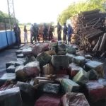 Polícia Civil incinera cerca de 5 toneladas de drogas em Sidrolândia