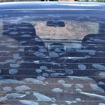 Nova Lei do Insulfilm: bolhas podem gerar multa e pontos na CNH