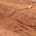 O assassinato do homem encontrado no Assentamento Santa mônica ontem, pode ter sido motivado por briga de bar