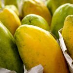 Governo prorroga prazo para cadastro na Agricultura Familiar