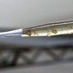 Governo cria Centro de Operações de Emergência de combate às arboviroses em MS