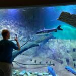 Aberto para turistas do mundo inteiro, Bioparque Pantanal recebeu visitantes de 75 países