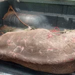 Polícia Militar Ambiental de São Gabriel do Oeste resgata de dentro de açude anta ferida e debilitada depois de baleada por vários tiros por caçadores