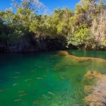 Balneário Municipal de Bonito é reaberto com restrições após cinco dias fechado