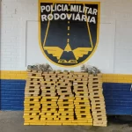 Carga de entorpecente é apreendida pela Polícia Militar Rodoviária, na MS 164, em Ponta Porã