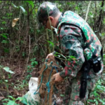 PMA de Jardim retira e apreende redes de pesca e anzóis de galho do rio Miranda e, apesar do rio cheio, pescadores insistem em armar este material proibido com alto poder de degradação