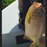 PMA de Corumbá autua paulistano dono de rancho em Corumbá por pescar no rio Paraguai em piracema e apreende barco, motor e pescado