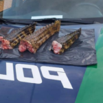 PMA de Rio Negro prende e autua caçadores campo-grandenses em R$ 31 mil e apreende três jacarés e um quati abatidos, pistola 9 mm, rifle calibre 22 e 118 munições