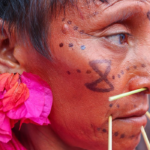 Ibama cria sala de combate ao garimpo ilegal em terra Yanomami