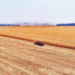 Mato Grosso do Sul foi o terceiro estado do Brasil que mais gerou vagas no agronegócio