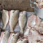  PMA de Bataguassu autua dona de pousada em R$ 1 mil por responsabilidade em pesca ilegal em período de piracema e apreende 20 kg de pescado