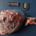 Polícia Militar prende mulher por furto em Nova Andradina