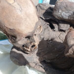 Múmia com mais de 600 anos encontrada em mochila de entregador no Peru