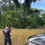 Autor de estupro de vulnerável, furto, ocultação de cadáver e homicídio qualificado é preso pelas polícias Civil e Militar em Douradina