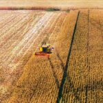 Safrinha de milho deve crescer 5,4% com desafio de melhorar a logística e elevar processamento do grão dentro do Estado