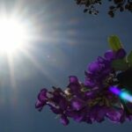 Semana começa com tempo instável e frente fria deve chegar a Mato Grosso do Sul na quinta-feira