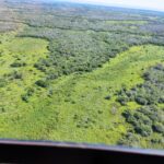 PMA, Policiamento Aéreo, PF, Ibama e Agência Nacional de Mineração realizam operação contra possível mineração ilegal no Pantanal e pesca ilegal no último dia do defeso