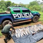 PMA de Naviraí autua em R$ 5,4 mil dois pescadores profissionais paranaenses por pesca e transporte ilegal de pescado e apreende 138 kg de peixes