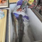 PMA de Coxim fiscaliza 22 lanchas de grande porte e embarcações de pesca amadora e profissional, 67 pescadores e apreende petrechos ilegais em 150 km no rio Taquari