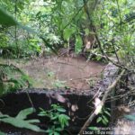 PMA de Bonito autua dona de rancho em R$ 7 mil por desviar água de córrego para uma represa, destruindo áreas protegidas