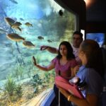 Bioparque garante inclusão de pessoas cegas com visitas guiadas e uso de tecnologia