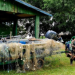  Polícia Militar Ambiental de Naviraí apreende 16 redes de pesca, medindo 300 metros, 15 boias com anzóis e 29 anzóis de galho no rio Paraná