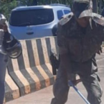 PMA de Cassilândia captura e faz soltura de sucuri de dois metros encontrada em ponte sobre córrego no centro da cidade, com riscos de ser atropelada