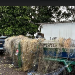 PMA de Dourados e de Mundo Novo fiscalizam 53 embarcações, 284 pescadores, apreendem 50 redes de pesca, anzóis e espinheis nos rios Ivinhema e Paraná e soltam 60 kg peixes