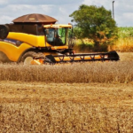 Produção agrícola de MS deve aumentar 10% em um ano e superar 70 milhões de toneladas