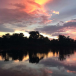 Dia Mundial da Água: Cerrado pode perder quase 34% da água até 2050