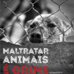 Polícia Civil prende autora de maus-tratos de animais em Corumbá