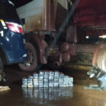 Cães policiais K9 encontram cocaína avaliada em R$ 1,5 milhão em caminhão na BR-262 em Terenos