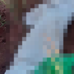 Corpo amordaçado com fita adesiva e enrolado em lençol é encontrado na fronteira