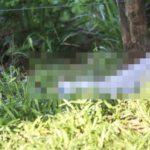 Corpo de homem é encontrado seminu com os pés amarrados em Campo Grande