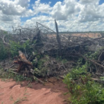 Polícia Militar Ambiental de Cassilândia autua paulista em R$ 12,9 mil por derrubada de árvores nativas ilegalmente em área de pastagem em sua propriedade