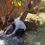 Dourados: Um ano após matar e queimar pai, filho aguarda na Justiça novo laudo de insanidade mental