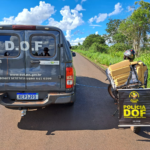 Em Jardim: Homem é preso pelo DOF, transportando maconha em motocicleta