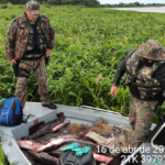 Polícia Militar Ambiental inicia amanhã às 12h00 a Operação Semana Santa com 310 Policiais e foco à prevenção e repressão à pesca predatória