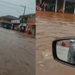 VÍDEO: Chuva alaga avenidas, derruba árvores, invade casas e comércios de Maracaju