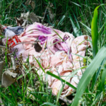 Polícia identifica irmãos que estupraram menina de 7 anos e um é preso em MS